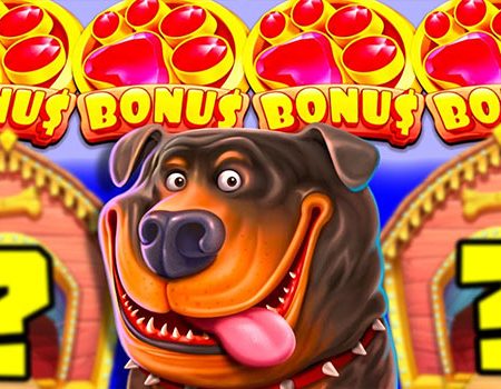 Взлом игры Dog House